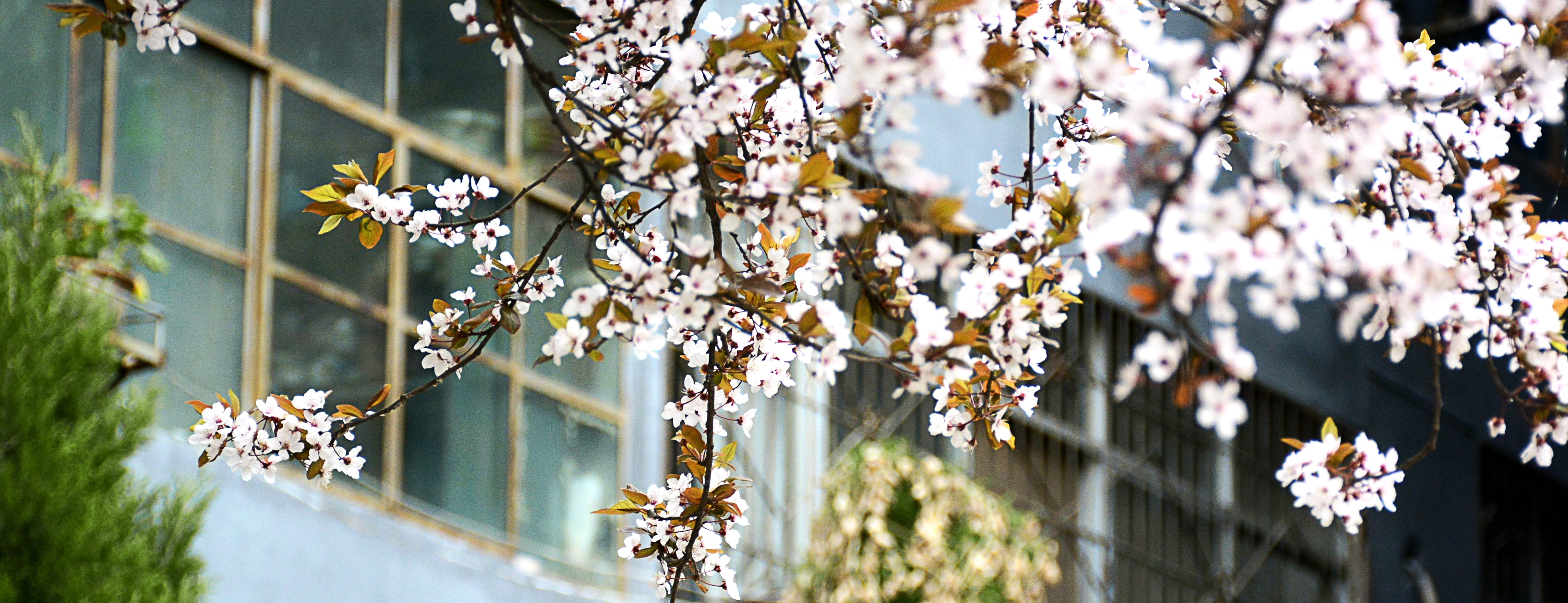 人文学院